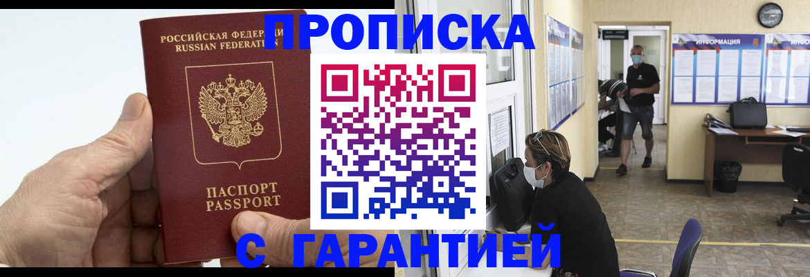 прописка поиск в Павловске